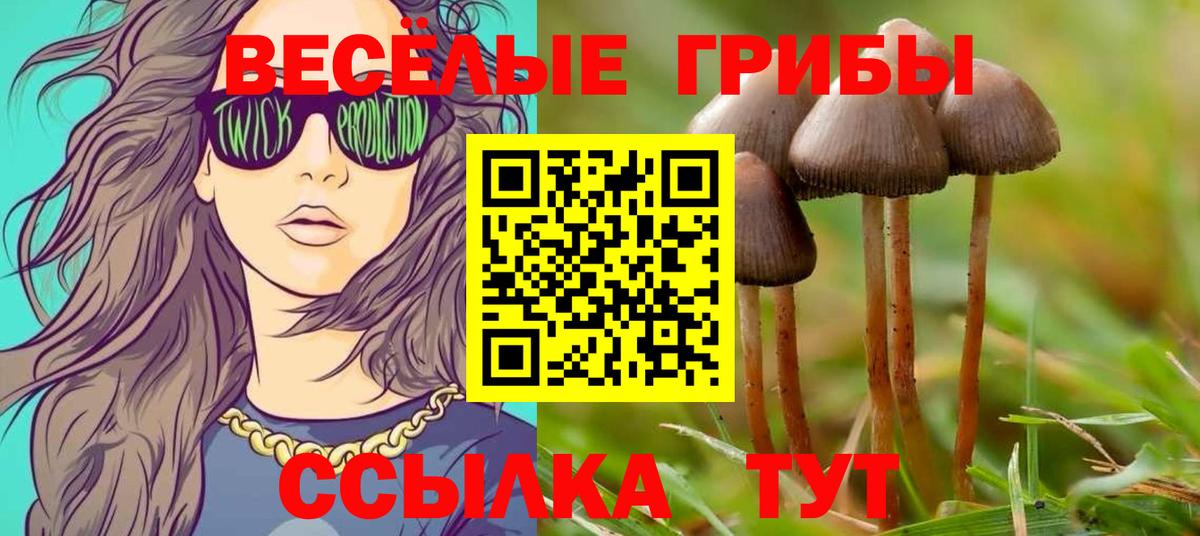 ТГК Курск